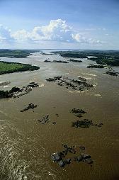 The Amazon River